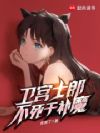 卫宫士郎正在挑战FGO