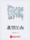 北望江山